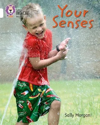 Produktbild von The Senses