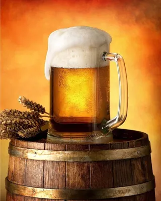 Produktbild von Mikroflanell-Decke Beer 120x150 cm