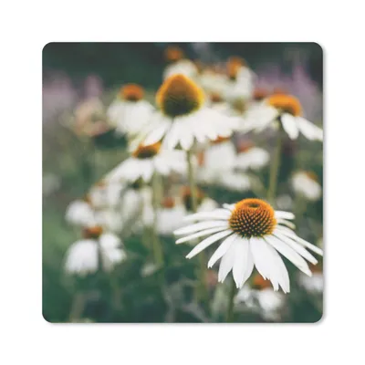 Produktbild von MuchoWow® Mauspad Mousepad Blumen - Herbst - Botanisch 20x20 cm - Mousepads - Maus Mat - Pad - Mausunterlage - Desk Mat - Bureauartikeln