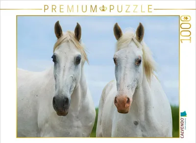 Produktbild von CALVENDO Puzzle Stutenporträt | 1000 Teile Lege-Größe 64x48cm Foto-Puzzle für glückliche Stunden