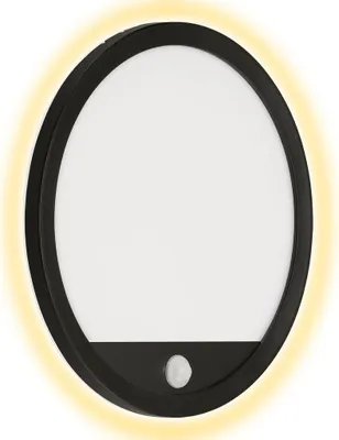 A black and white LED outdoor light with a motion sensor.