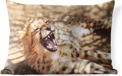 Produktbild von MuchoWow® Outdoor Kissen - Gepard - Tier - Nahaufnahme - 60x40 cm - Wetterfest - Lounge Kissen - Zierkissen - Kissen für Innenräume