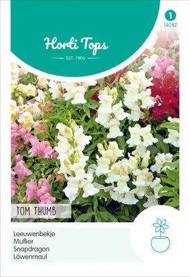 Immagine prodotto di Genziana Tom Thumb | Semi di genziana di Hortitops