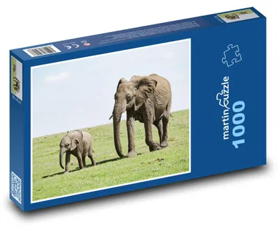 Zdjęcie produktu dla martinpuzzle - Puzzle 1000 - Słoń - mládě