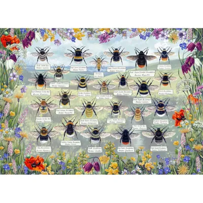 Image de GIBSONS Puzzle Abeilles brillantes 1000 pièces
