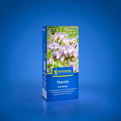 Produktbild von Kiepenkerl Gründüngung Saatgut Phacelia für 40 m² 0,16 kg