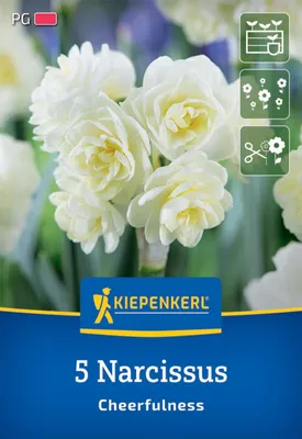 Artikelbild 2 von 'Poetaz-Narzisse Cheerfulness (5 Stück)' aus der Kategorie Narzissenzwiebeln
