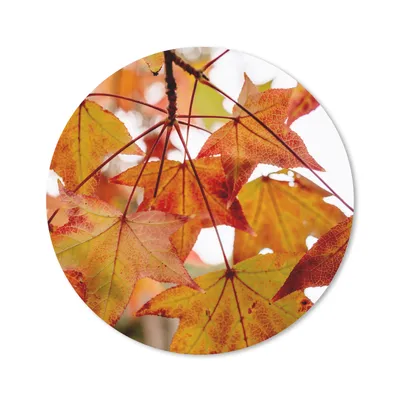 Produktbild von MuchoWow® Mauspad Mousepad Herbstzweige - Blätter - Jahreszeiten - Landleben 20x20 cm - Mousepads - Maus Mat - Pad - Mausunterlage - Schreibtischmatte