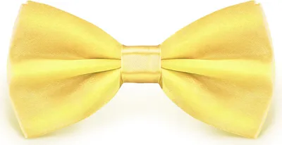 Produktbild von Fliege Lindgrün Größe verstellbar aus Polyester einfarbig uni schmale 12 cm