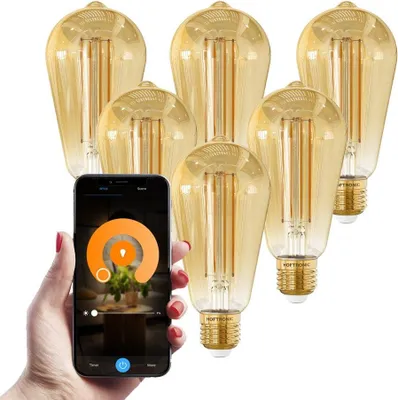 Produktbild von hoftronic Smart E27 LED-Glühlampe 7W 806lm ST64 1800-3000K dimmbar bernsteinfarben