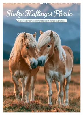 Produktbild von Stolze Haflinger Pferde (Wandkalender 2027 DIN A2 hoch), CALVENDO Monatskalender