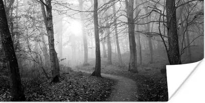 Produktbild von MuchoWow® Poster Nebliger Waldweg - schwarz und weiß 40x20 cm - Poster für die Wand - Poster Schlafzimmer
