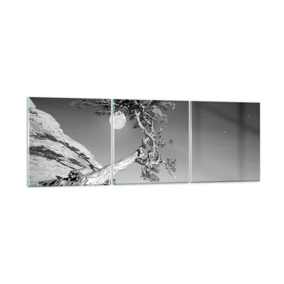 Produktbild von Bilder auf glas - 3 Teile - Voll der Mond Baum - 150x50cm - Glasbilder - Wandbilder - Bilder - zum Aufhängen bereit - Wanddekoration aus Glas - Glas Bilder - Wandbild auf Glas - GCA150x50-4689