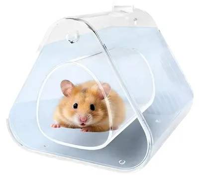 Productafbeelding van Koelhuis voor Hamsters en Knaagdieren, Transparant en Waterdicht