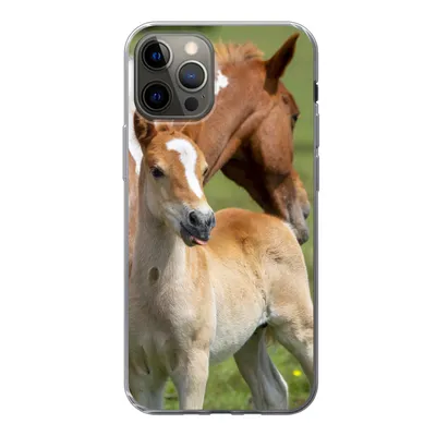 Produktbild von MuchoWow® Handyhülle Schutzhülle Hülle für iPhone 13 Pro Pferde - Fohlen - Gras Silikon Softcase Handy Hülle - Handy-Tasche