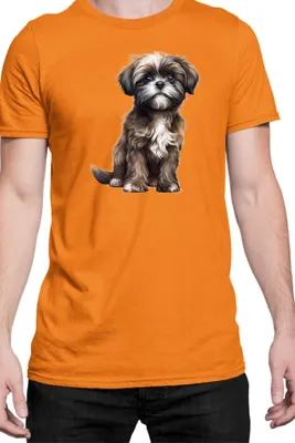Produktbild von Herren T-Shirt Dogs Breeds Shih Tzu Dog Breed 006, Man 3XL / Orange