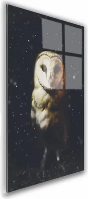 Zdjęcie produktu dla OBRAZ NA SZKLE PROSTOKĄTNY 60x90cm 139 Sowa