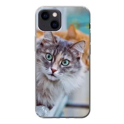 Produktbild von MuchoWow® Handyhülle Schutzhülle Hülle für iPhone 13 mini Katze - Fenster - Katzen Silikon Softcase Handy Hülle - Softcase
