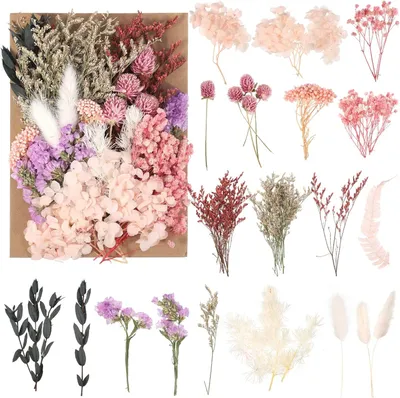 A collage of various dried flowers and plants in different colors and arrangements.