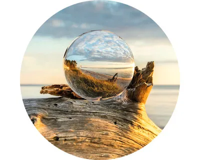 Produktbild von Glasbild Drop On Wood GLR059 Ø 50 cm
