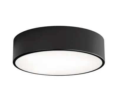 Image de Brilagi - Plafonnier CLARE 2xE27/24W/230V d 30 cm noir