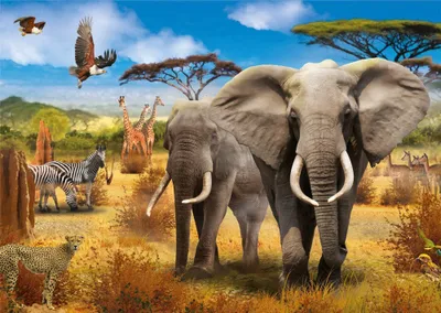 Produktbild von JUMBO Puzzle Africká savana 500 dílků