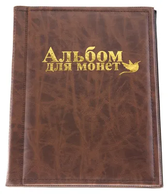 Image de 250 pochettes pour pièces de monnaie, classeur d'album pour collectionneurs, 10 pages, marron