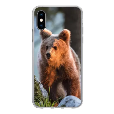Produktbild von MuchoWow® Handyhülle Schutzhülle Hülle für iPhone X Bär - Braun - Tier Silikon Softcase Handy Hülle - Handyhülle