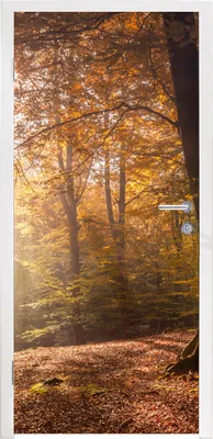Produktbild von MuchoWow® Türtapete Selbstklebende Türfolie Bäume - Herbst - Orange 95x235 cm Türposter Türaufkleber Klebefolie Türklebefolie - XXL-Poster - Türtapeten - Türplakaten