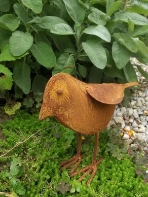 Produktbild von Edelrost Vogel Peter