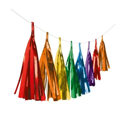 Immagine prodotto di Ghirlanda di nappe dai colori dell'arcobaleno