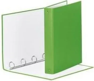 Image de Esselte 395792940 Boîte de classement Plastique Vert