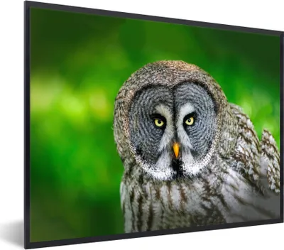 Produktbild von MuchoWow® Gerahmtes Poster Vogel - Eule - Tiere - Braun - Porträt 40x30 cm - Poster mit Schwarzem Bilderrahmen Wandposter Rahmen Foto Bilder - Kunstposter - Wanddekorationen