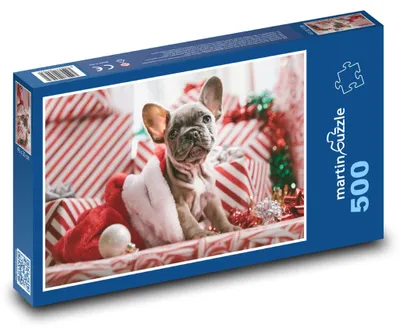 Obrázok produktu pre martinpuzzle – Puzzle 500 – Štena vianocnou ciapkou