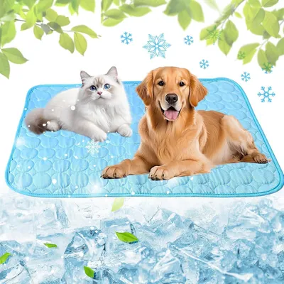 Image de Tapis rafraîchissant pour grands chiens