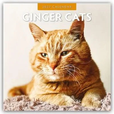 Obrázok produktu pre Mačky ryšavé – Červené mačky – Gingerkatzen 2027 – Kalendár na 16 mesiacov