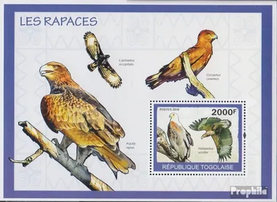 Produktbild von Briefmarken Togo 2010 Mi Block499 (kompl.Ausg.) postfrisch Greifvögel