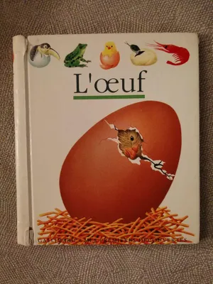 Produktbild von Bourgoing  Pascale de, Mettler  René - L'Oeuf