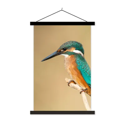 Produktbild von MuchoWow® Textilposter Eisvogel - Tiere - Vogel 40x60 cm mit schwarzem Rahmen - Wanddekorationen