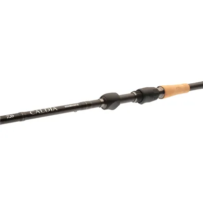 Image de DAIWA Caldia Spin, 2,4m, 7,87ft, 10-40g, 2 parties, canne à pêche spinning , 11425-245