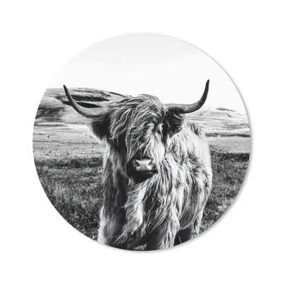 Produktbild von MuchoWow® Mauspad Mousepad Schwarz - Weiß - Schottischer Highlander - Gras 40x40 cm - Mousepads - Maus Mat - Pad - Mausunterlage - Schreibtisch Accessoires