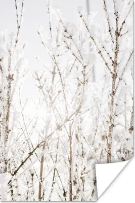 Produktbild von MuchoWow® Poster Schnee - Winter - Natur 40x60 cm - Plakate für die Wand - Poster Babyzimmer