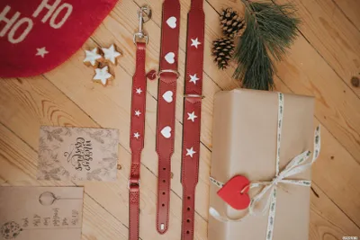 Produktbild von HUNTER Halsband Love S-M (47), rot/schwarz