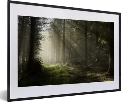 Produktbild von MuchoWow® MuchoWow® Gerahmtes Poster Wald - Baum - Nebel 60x40 cm - Poster mit zchwarzem Bilderrahmen - Schlafzimmer - Plakat in Rahmen - Drucken