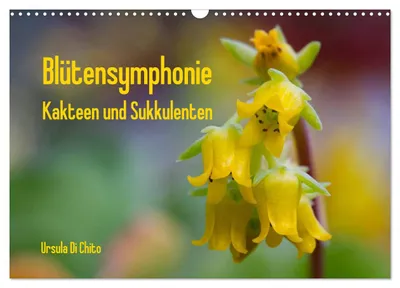 Produktbild von Blütensymphonie - Kakteen und Sukkulenten (Wandkalender 2027 DIN A3 quer), CALVENDO Monatskalender