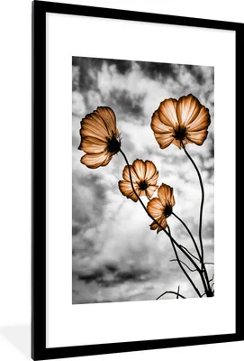 Produktbild von MuchoWow® MuchoWow® Gerahmtes Poster Blumen - Braun - Schwarz - Weiß 60x90 cm - Poster mit zchwarzem Bilderrahmen - Dekoration - Wandposter Wohnzimmer - Hochwertig