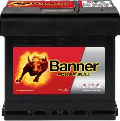 Produktbild von Banner Power Bull P4409, 12 V, Schwarz, 175 mm, 210 mm, 175 mm, 12 kg