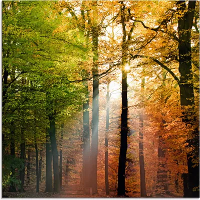 Produktbild von ARTland Glasbild Schöner Herbsttag 2 Größe: 50x50 cm