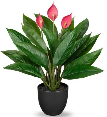 Image de Fausse plante Calathea avec 22 feuilles dans un pot en plastique, taille 43 cm, vert