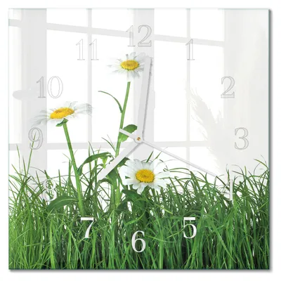 Produktbild von Tulup Glasuhr Wanduhr Küchenuhr Echt-Glas 30x30 cm Modern Dekorativ Geräuschlos Weiße Zeiger - Gänseblümchen